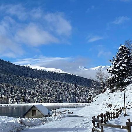 Gite Du Montagnol A Payolle Sainte-Marie-de-Campan Dış mekan fotoğraf