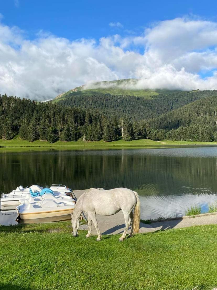 Gite Du Montagnol A Payolle Sainte-Marie-de-Campan Dış mekan fotoğraf