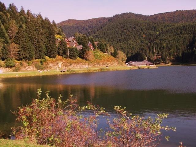 Gite Du Montagnol A Payolle Sainte-Marie-de-Campan Dış mekan fotoğraf