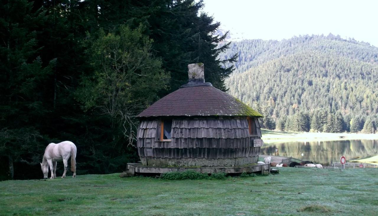 Gite Du Montagnol A Payolle Sainte-Marie-de-Campan Dış mekan fotoğraf