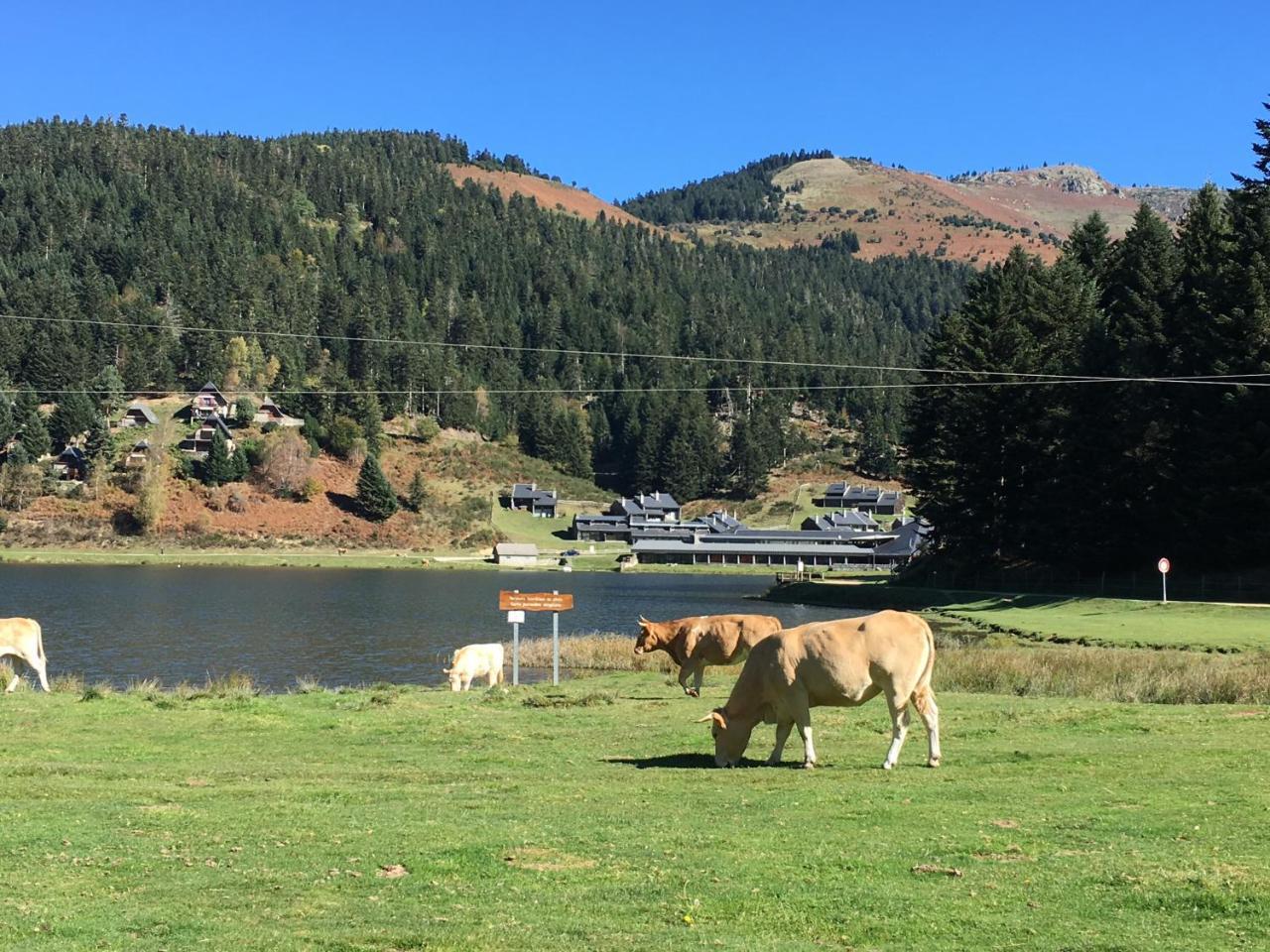 Gite Du Montagnol A Payolle Sainte-Marie-de-Campan Dış mekan fotoğraf