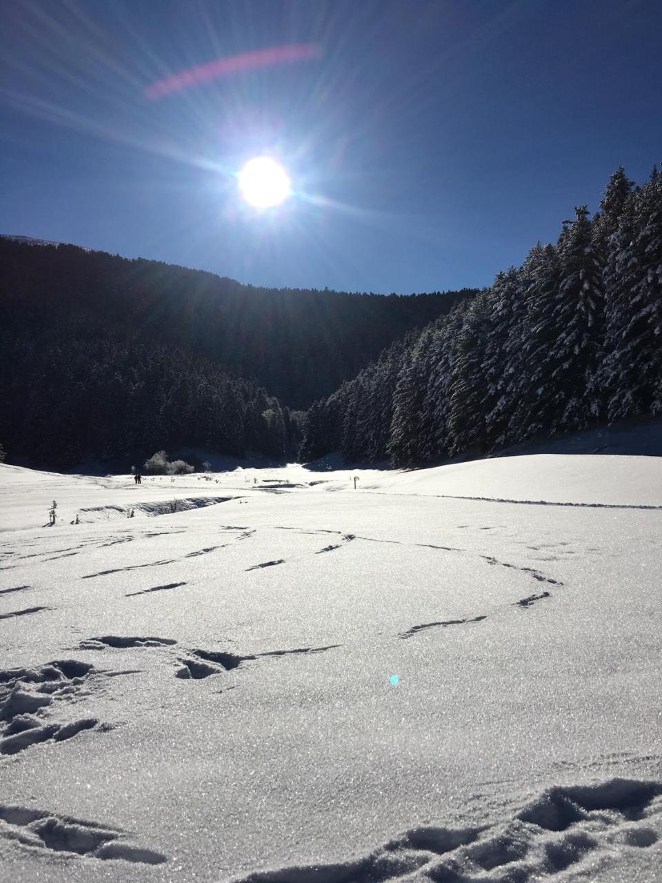 Gite Du Montagnol A Payolle Sainte-Marie-de-Campan Dış mekan fotoğraf