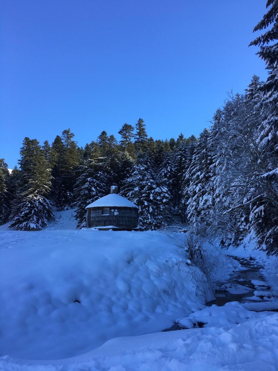 Gite Du Montagnol A Payolle Sainte-Marie-de-Campan Dış mekan fotoğraf